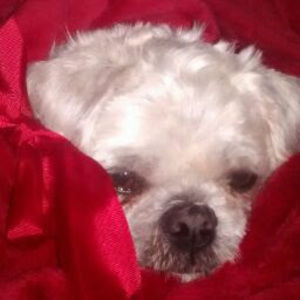 Meet your Posher, Leandra